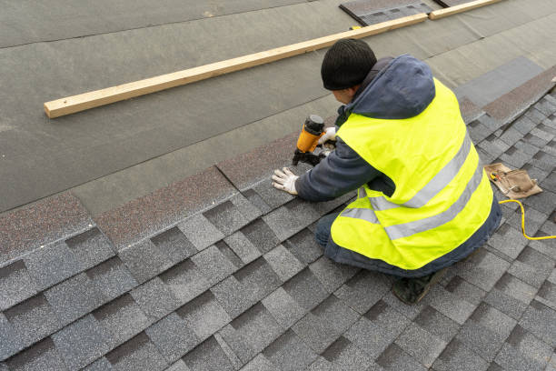 Best Gutter Installation and Roofing  in Hawkinsville, GA