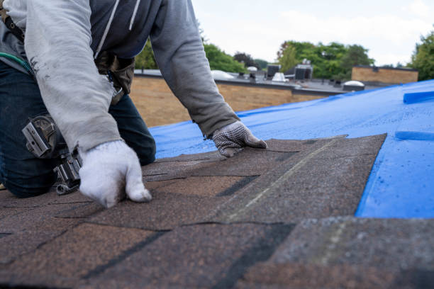 Best Roof Maintenance Services  in Hawkinsville, GA