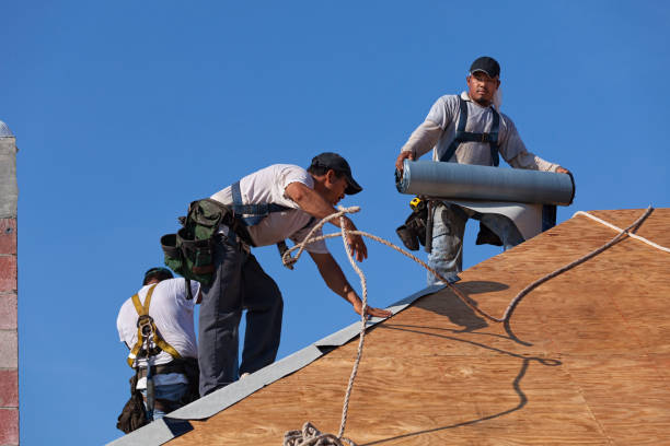 Best Roof Maintenance Services  in Hawkinsville, GA