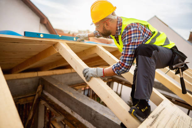 Best Roof Gutter Cleaning  in Hawkinsville, GA