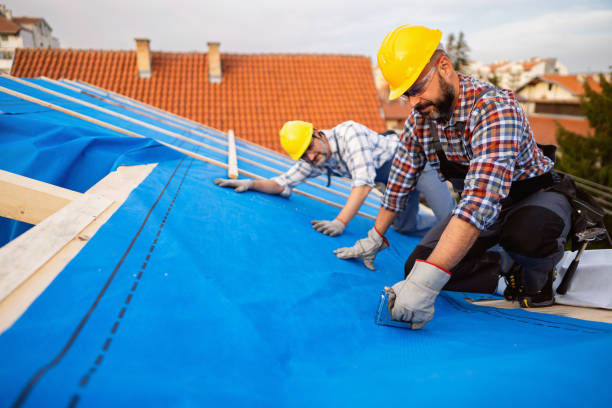 Best Residential Roofing Contractor  in Hawkinsville, GA