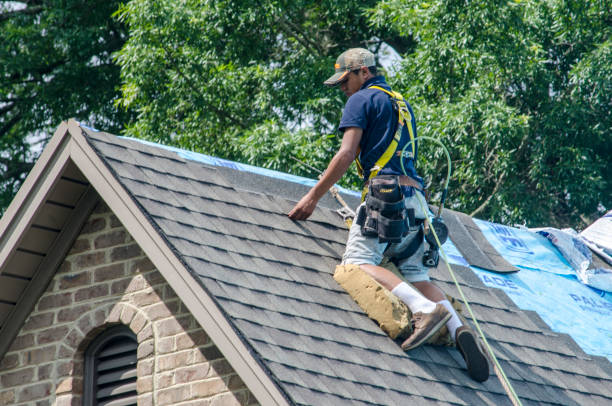 Best Tile Roofing Contractor  in Hawkinsville, GA